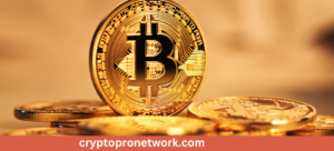 cryptopronetwork.com